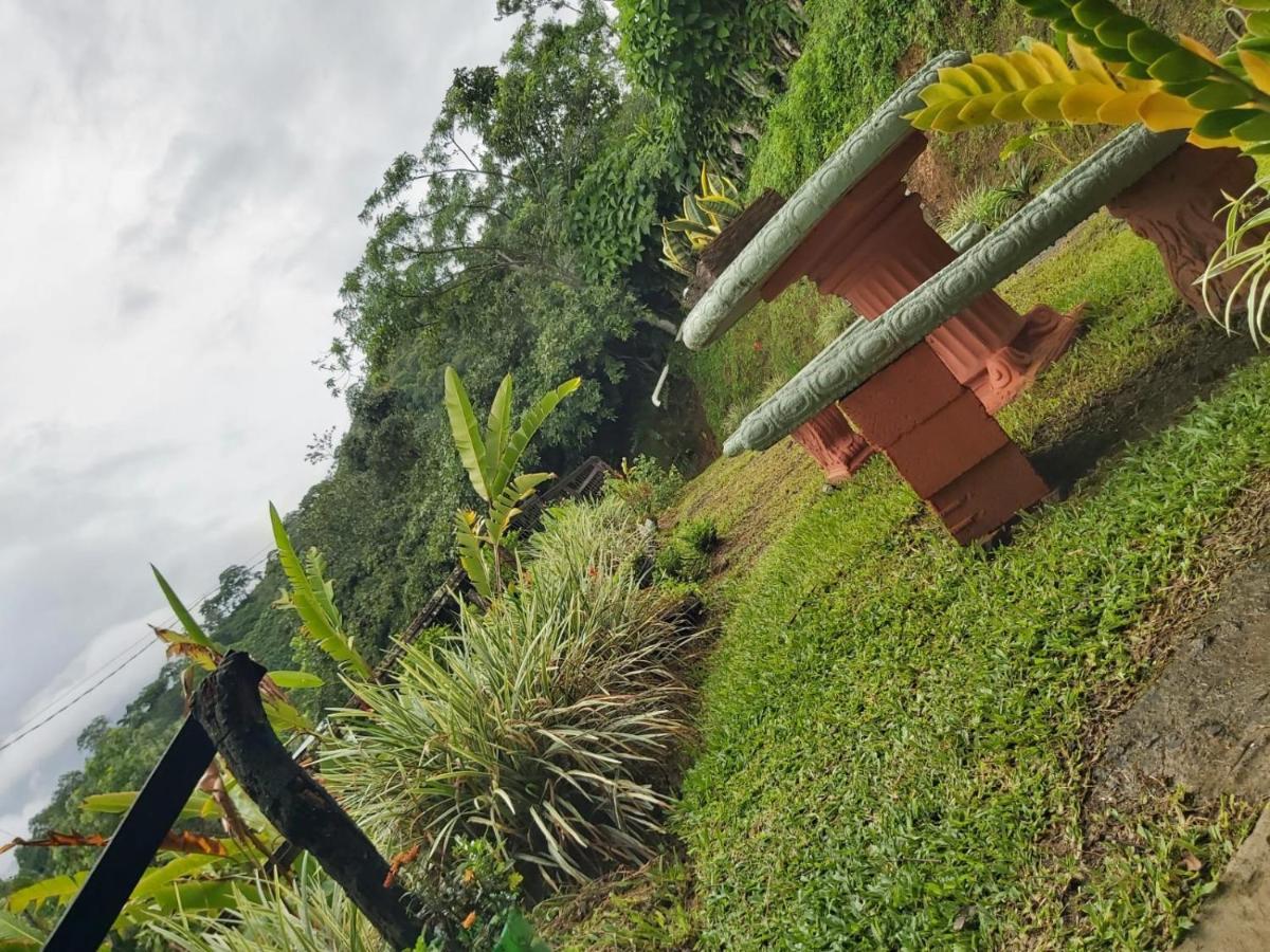 Hospedaje Coffee Mountain San Isidro  Eksteriør bilde